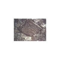 Slab camouflaged with (still wet) mortar.
Only one edge of the slab is open to allow access.