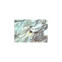 Stich bar in position prior to pressure grouting.