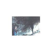 Drilling holes in masonry for stitch bars.
The positioning of the stitch bars along the longitudinal crack was considered when deciding which voids should be preserved.