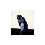 A closeup to prove it!