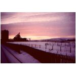 Winter sunrise near Grangetown Coke Ovens on Teesside, March '83