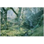 The same place, photo taken 2nd Nov 02