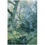 The same place, same day