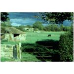 The old railway in Guisborough