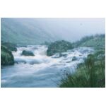 Whilst staying in Callaly we drove up the Upper Coquet valley