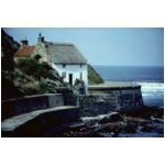 The Thatched cottage at Runswick Bay