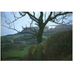 The famouse White Horse at Kilburn near Thirsk