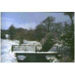 This foot bridge is about half a mile from home