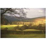 Can't remember where I took this, nice though